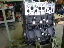 VW/AUDI - 1.9 TDI engine